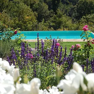  Bed & Breakfast Podere Il Colto Italië